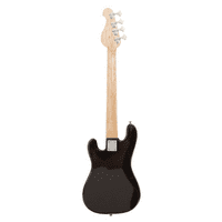 Roger Waters Guitar Miniature Replica | Pink Floyd | Display Box | Mini Stand | Name Plate