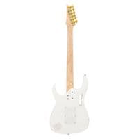 Steve Vai Guitar Miniature Replica | JEMV7 | Handmade Music Gifts