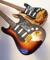 Stevie Ray Vaughan - New & Weathered Variation Set - 