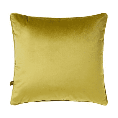 Bellini Velour 45x45cm Cushion Linden