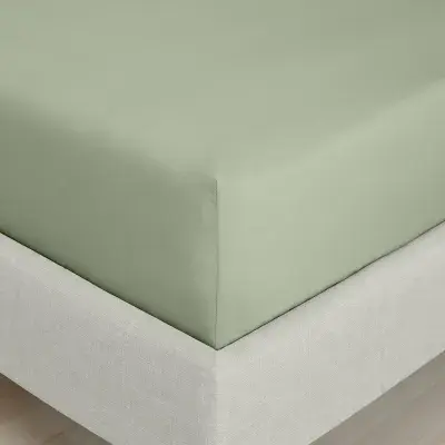 Bianca  200TC Percale Fitted Sheet | Sage