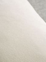 Catherine Lansfield Wilson Velvet Filled Cushion 35x35cm| Natural