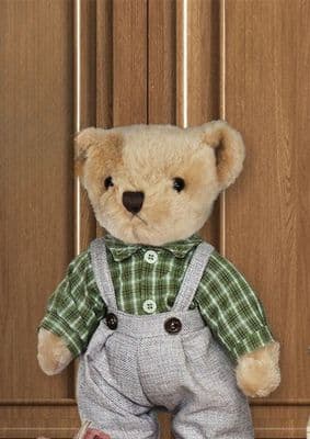 Daydreams Cottage Collection Teddy Bear  | Green BB331