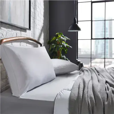 Fine Bedding This Is Sleep Back Sleeper Pillow  | White