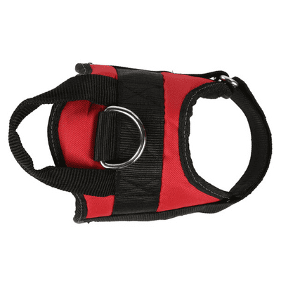 Regatta  Reflective Dog Harness Red | RDE002