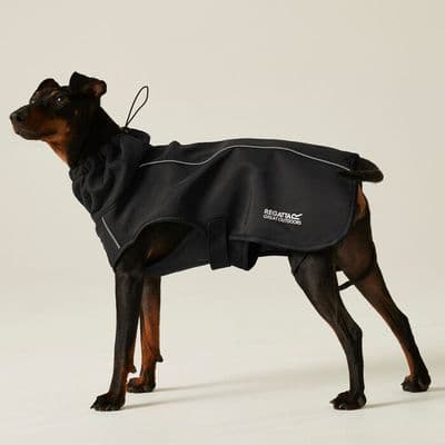 Regatta Softshell Dog Coat | Black RDC016