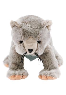 Sterntaler Lily Soft Cat Toy | 3002427