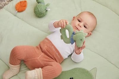 Sterntaler Rattle Grasping Dino Rexi 16x15 cm  | Green 3302423