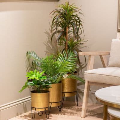 TARA Anisha Plater | Gold TL629