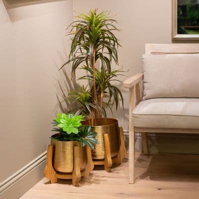 TARA  Chandra Planter| Gold TL6932