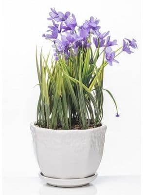 The Grange Collection Artificial Flowers | Purple SW3