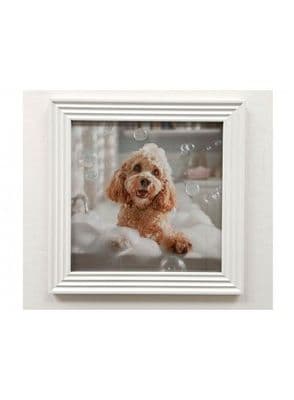 The Stonewall Gallery Framed PictureBubblebath Dog   40x40x1.7cm |  ZH53