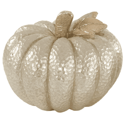 W J Sampson 21285 Pumpkin