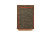 A Storm is Rising by George Dyer First Edition Houghton Mifflin Company 1934