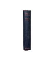 Babes in the Wood 1929 First Edition Near VG – Michael Arlen

