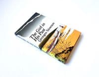 The Girl In His Past by Simenon First Edition Hamish Hamilton 1976