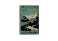 The Golden Pool 1st 1905 Austin Freeman | Rare UK & USA