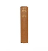 The Unwilling Adventurer by R. Austin Freeman First Edition Hodder & Stoughton 1913