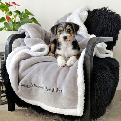 Personalised Me And My Pet Grey Blanket