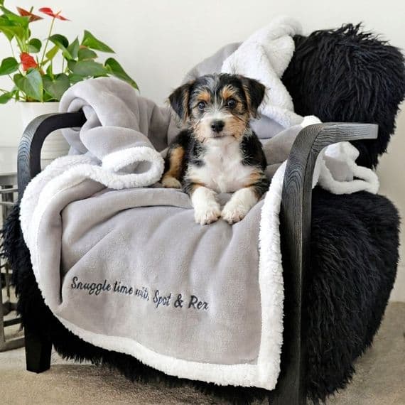 Personalised Me And My Pet Grey Blanket