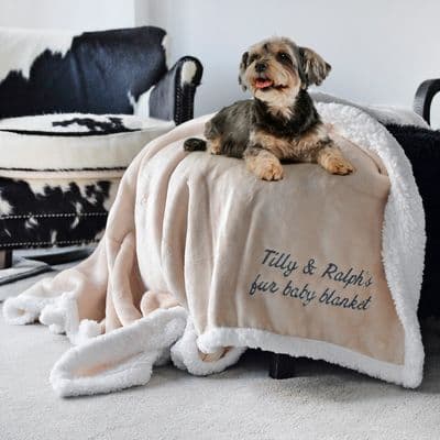 Personalised Me And My Pet Neutral Blanket