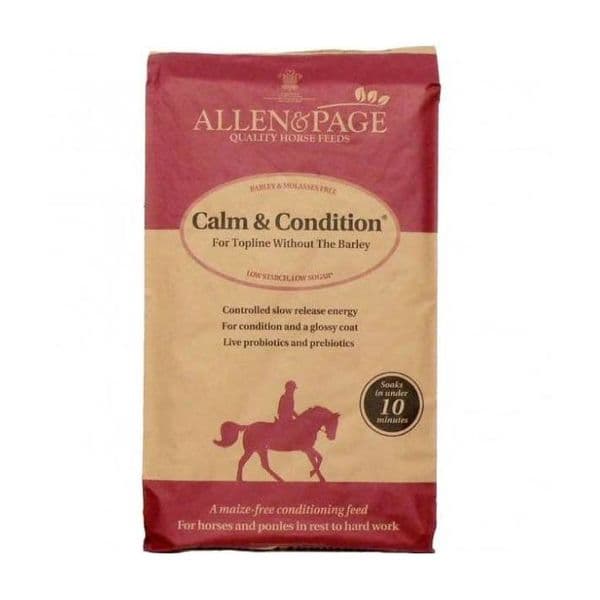 Allen & Paige Calm & Condition