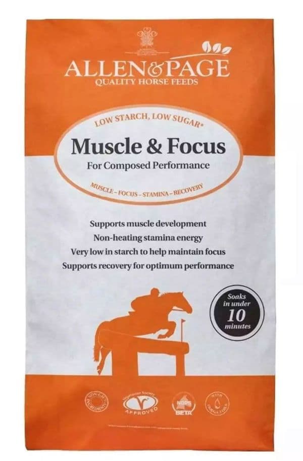 Allen & Paige Muscle & Focus