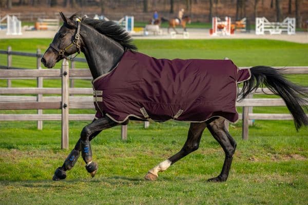 Amigo Bravo 12 100g Turnout Rug - Purple.