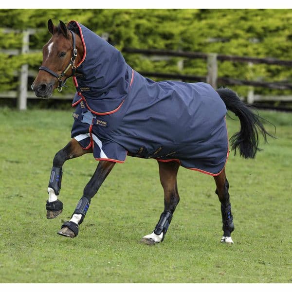 Amigo Bravo 12 Plus 100g - Disc