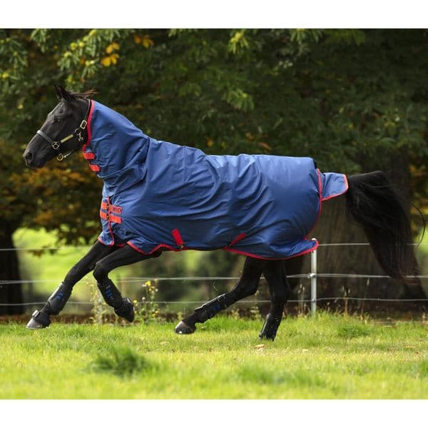 Amigo Mio Lite Lightweight Turnout Rug
