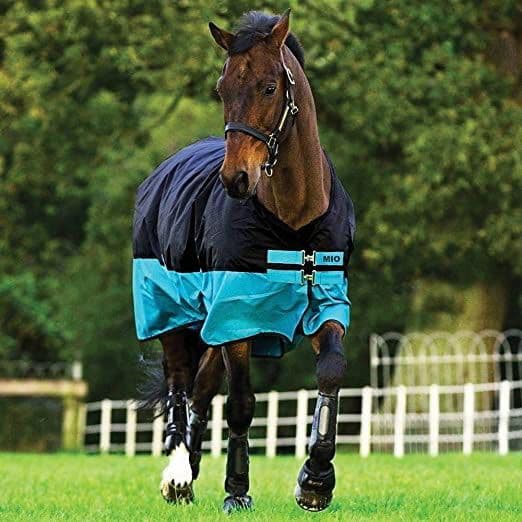 Amigo Mio Lite Lightweight Turnout Rug   -  Black Turquise