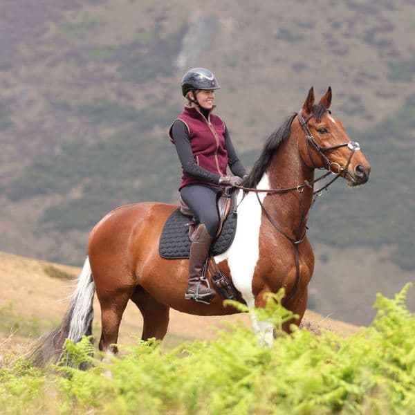 Aubrion Core Ladies Fleece Gilet - Maroon