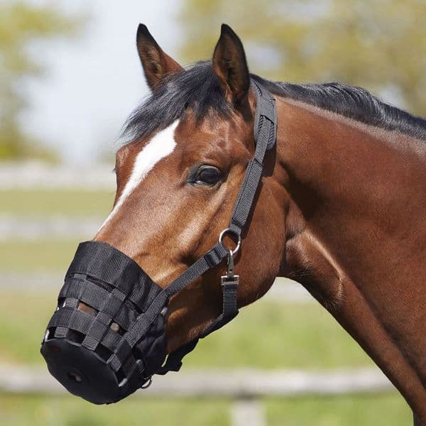 Bitz Super Soft Anti-Rub Grazing Muzzle
