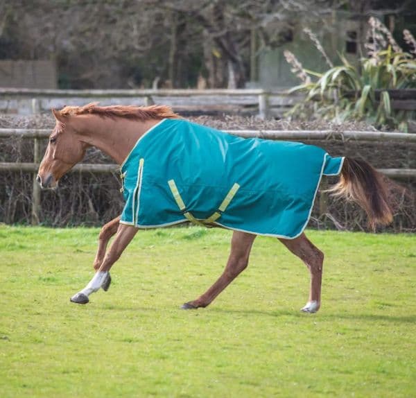 Bridleway Ontario 100g Turnout Rug