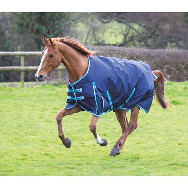 Bridleway Ontario Light Turnout Rug - Navy