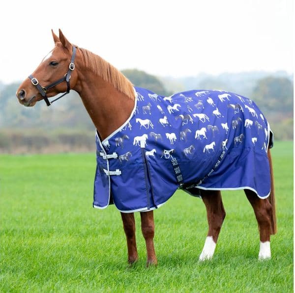 Bridleway Ontario Light Turnout Rug - Navy Horse