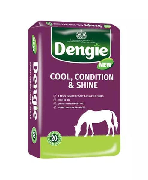 Dengie Cool Condition & Shine