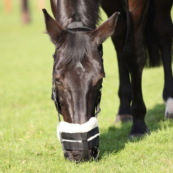 Freegraze Deluxe AirFlow Grazing Muzzle
