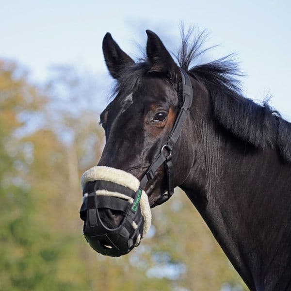 Freegraze Deluxe AirFlow Grazing Muzzle