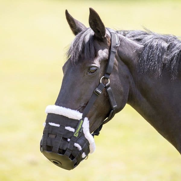 Freegraze Deluxe Comfort Grazing Muzzle