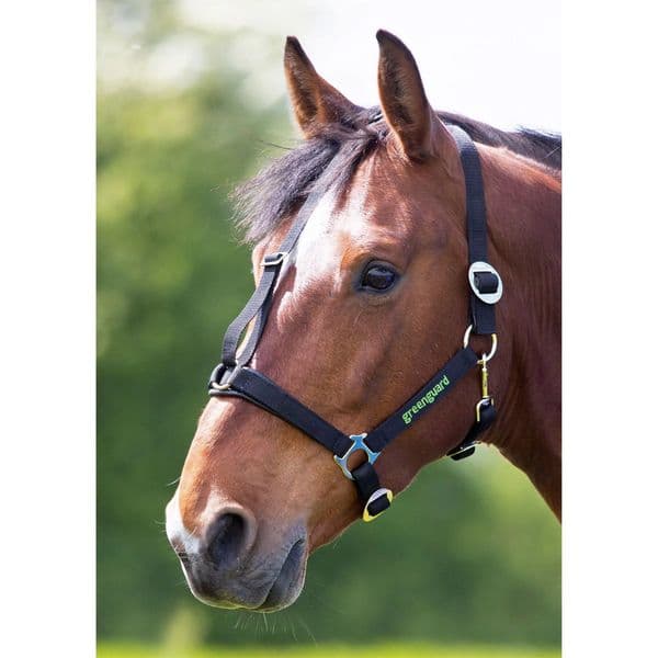 Greenguard Headcollar