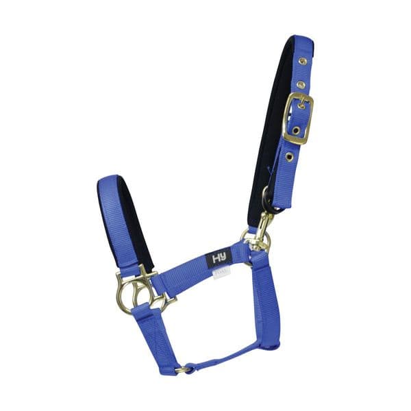 Hy Fieldsafe Small Pony & Foal Headcollar