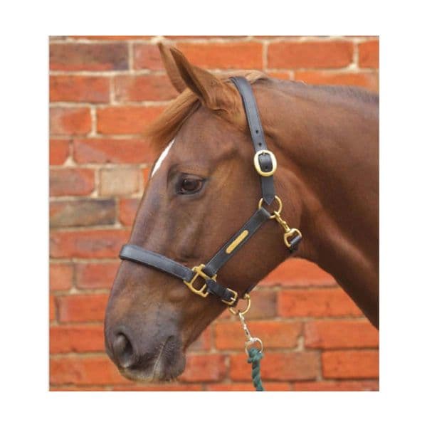 Hy Leather Head Collar
