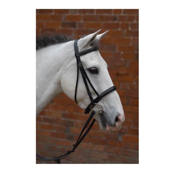 Hy Padded Cavesson Bridle with Rubber Grip Reins