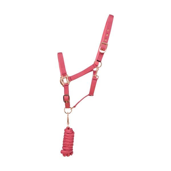 Hy Rose Gold Headcollar and Lead Rope - Blush Pink