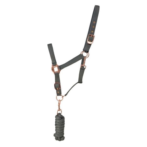 Hy Rose Gold Headcollar and Lead Rope - Grey