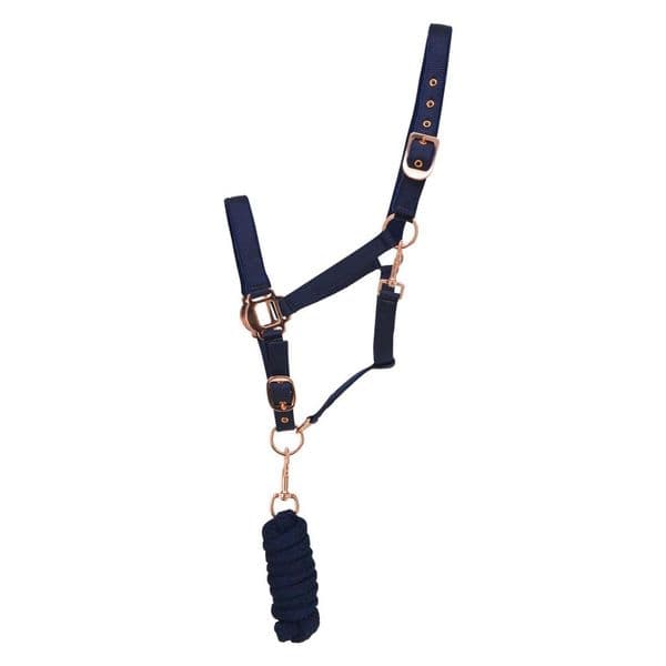 Hy Rose Gold Headcollar and Lead Rope - Navy