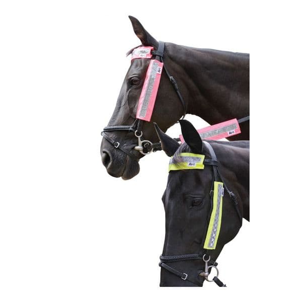 HyVIZ Bridle Set