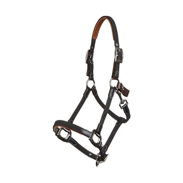 LeMieux Breakaway Headcollar