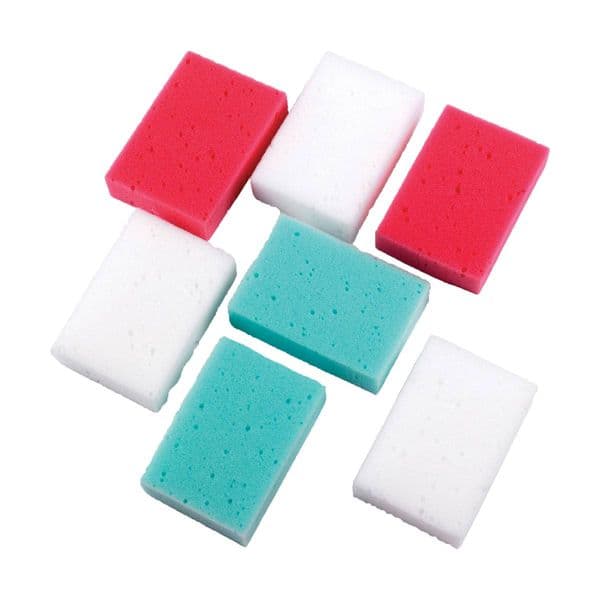 Lincoln Economy Sponges